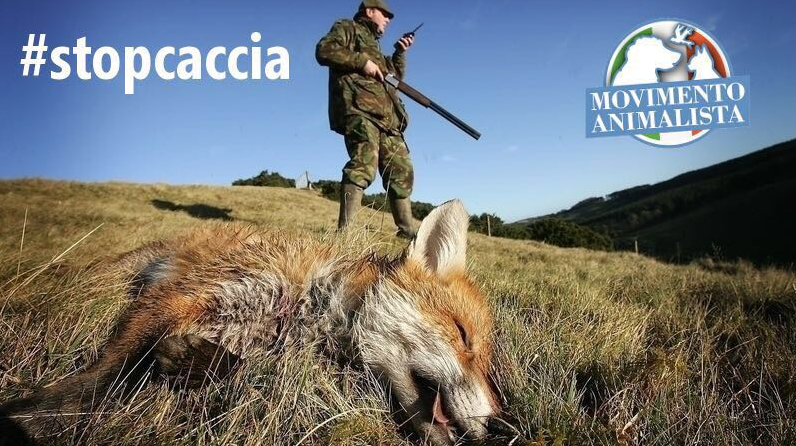 MOVIMENTO ANIMALISTA, ONLINE LA PETIZIONE #STOPCACCIA