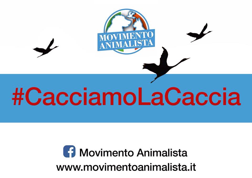 #CACCIAMOLACCIA, CAMPAGNA SOCIAL DEL MOVIMENTO ANIMALISTA