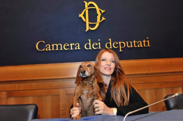 CAMERA APPROVA PENE PIÙ SEVERE PER REATI CONTRO GLI ANIMALI, ON. BRAMBILLA: “UNA RIVOLUZIONE”