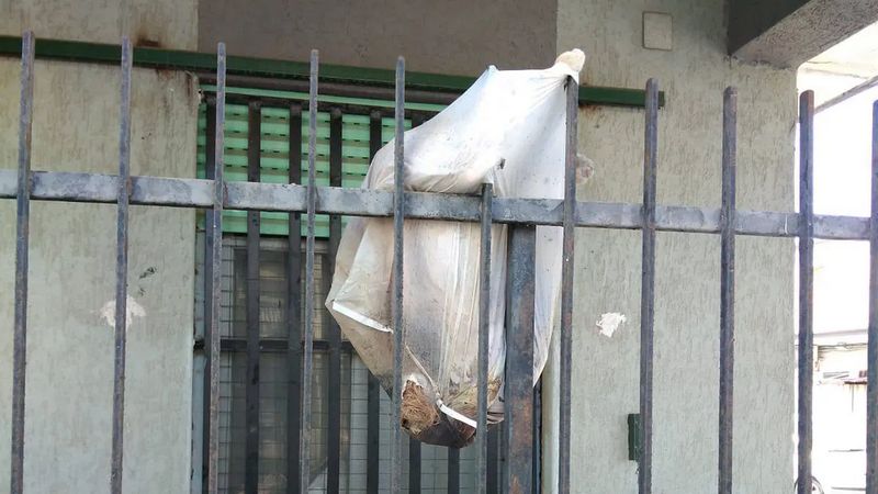 CANE AMMAZZATO A CORIGLIANO ROSSANO (COSENZA), CON LEGGE BRAMBILLA FINO A 4 ANNI DI RECLUSIONE E 60MILA EURO DI MULTA