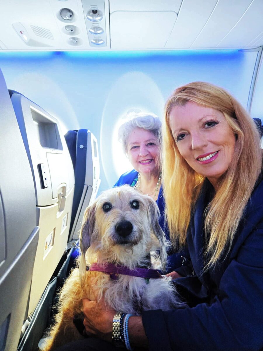 CANI IN AEREO, ON. BRAMBILLA: “SULLA TUTELA DEGLI ANIMALI, PER LEGGI E DIRITTI, ITALIA ALL’AVANGUARDIA”