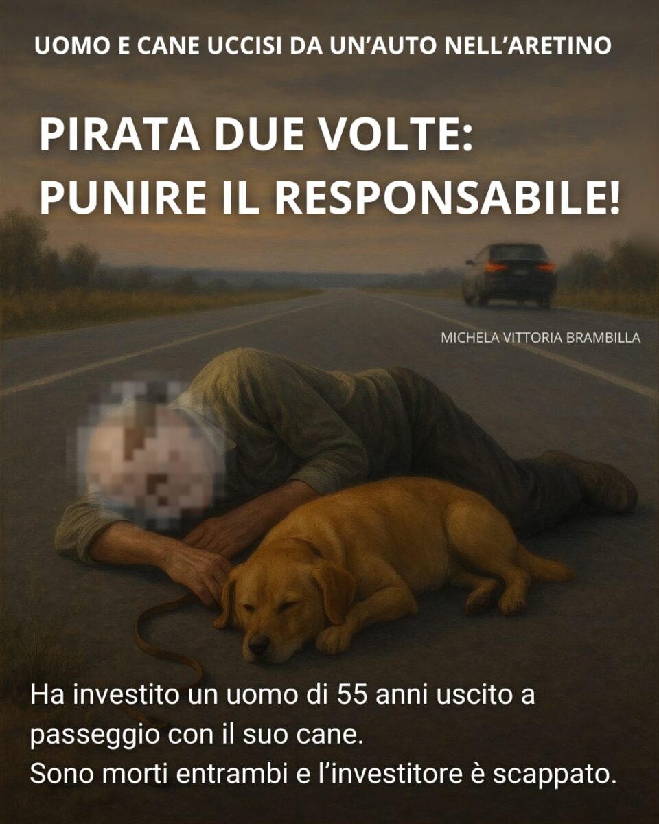 UOMO E CANE UCCISI DA UN’AUTO NELL’ARETINO, ON. BRAMBILLA: “PIRATA DUE VOLTE, PUNIRE IL RESPONSABILE”