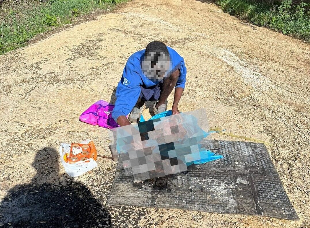 SEZZE (LATINA), UCCIDE E SEZIONA UN CANE. ON. BRAMBILLA: “CRIMINE RACCAPRICCIANTE, SI APPLICHI CON RIGORE LA LEGGE BRAMBILLA”