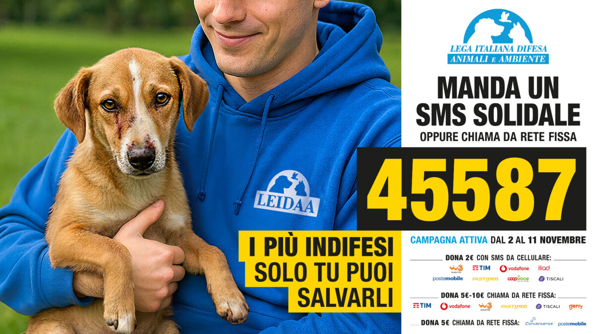 LEIDAA: DAL 2 ALL’11 NOVEMBRE INVIA UN SMS SOLIDALE AL NUMERO 45587 E SALVA GLI ANIMALI, SENZA VOCE E SENZA DIFESA