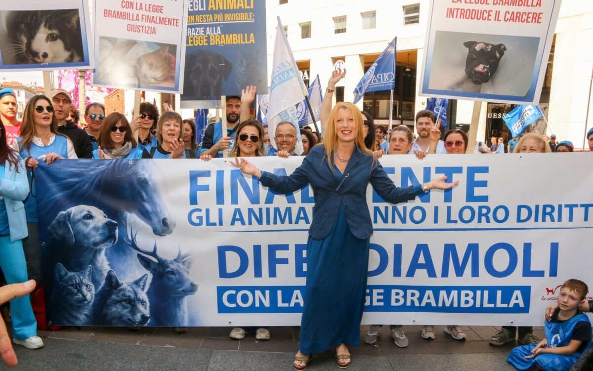 GIORNATA NAZIONALE DEI DIRITTI DEGLI ANIMALI: IL CONTRIBUTO DELLA LEGGE BRAMBILLA