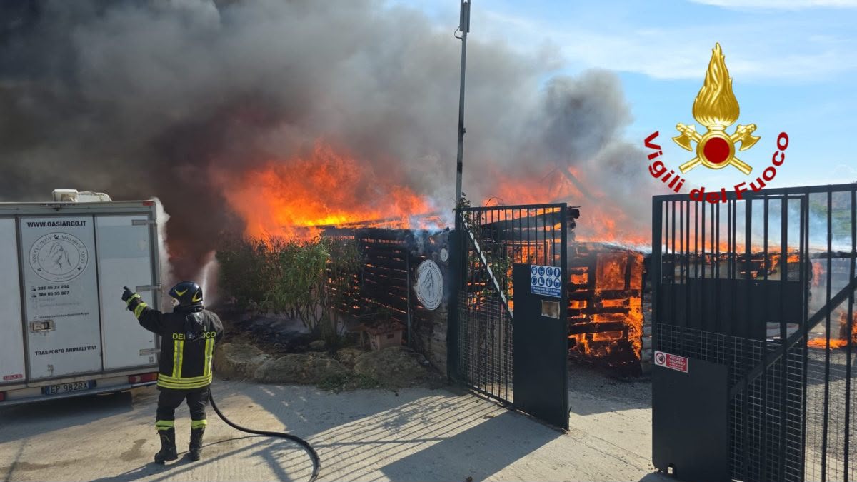 CIRÒ MARINA (CROTONE), INCENDIO AL RIFUGIO PER ANIMALI “OASI ARGO”. ON. BRAMBILLA: “SITUAZIONE TERRIBILE, DALLA NOSTRA LEIDAA SOLIDARIETÀ E RAPIDI AIUTI”